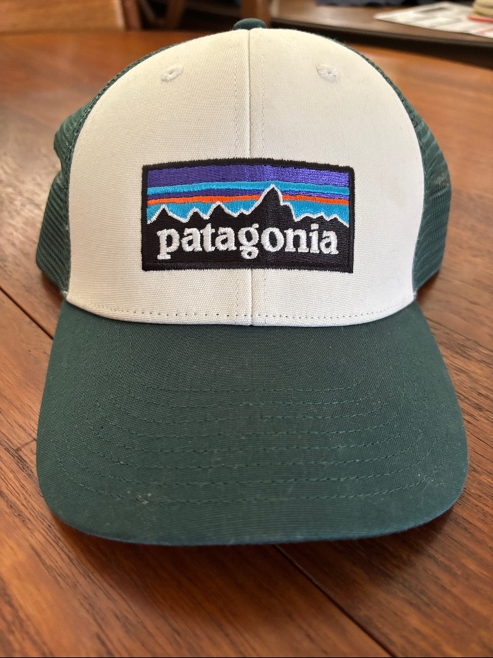Patagonia Two-Tone Trucker Hat in White & Forest Green